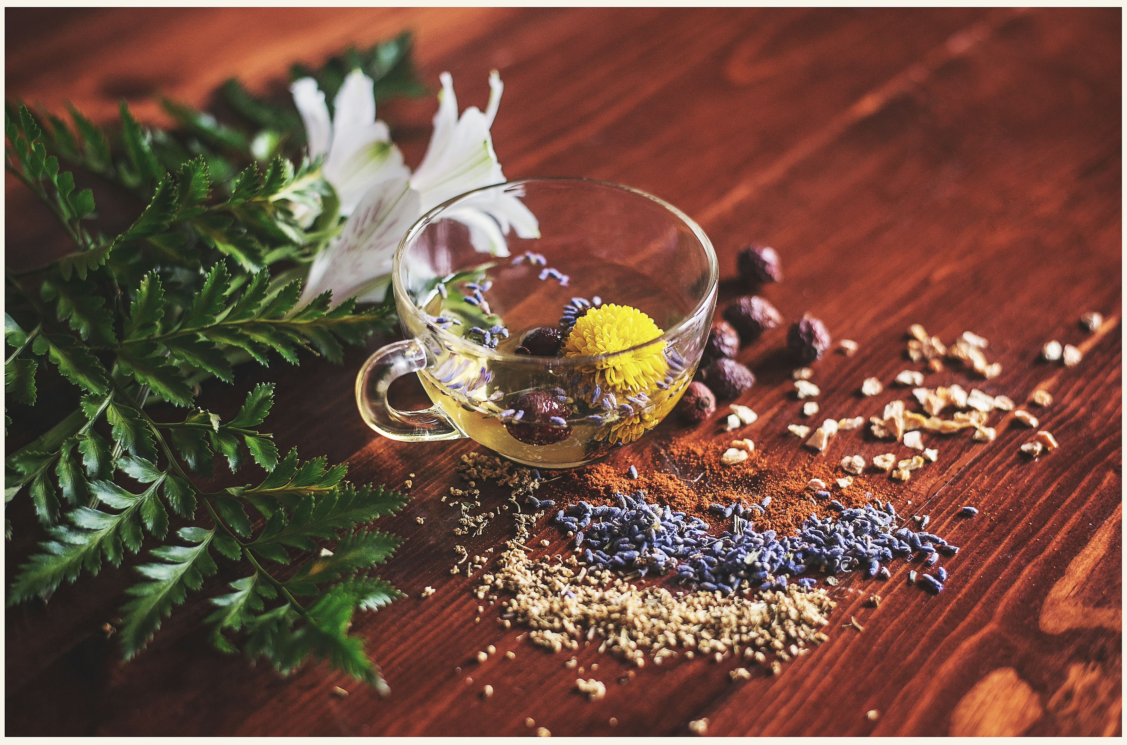 glass tea cup filled partially with dry herbs, dry herbs scattered around cup on wood table
